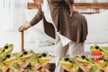 හිතද්දිත් අප්පිරියයි කාන්තාවක් කොන්දේ අමාරුවට පණපිටින්ම ගෙම්බන් 08ක් ගිලලා