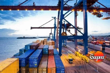 ජනවාරියේ අපනයන ආදායමේ විශාල වර්ධනයක්