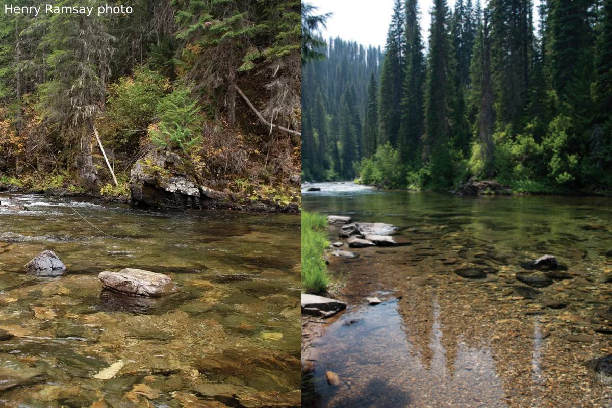 idaho missing woman found death as skeletal idaho missing woman found death as skeletal