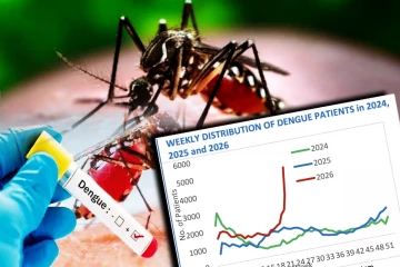 இலங்கையில் டெங்கு பாதிப்புகள் 49,000 ஆக உயர்வு