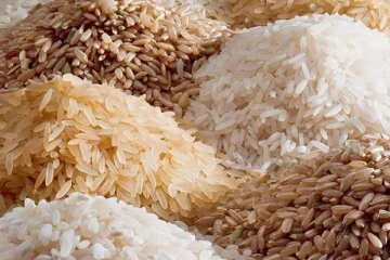 ஒரு கிலோ அரிசி 200 ரூபாவாக உயர்வடையும்! விவசாய நிபுணர்கள் எச்சரிக்கை