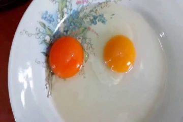 வாங்கிய முட்டை ஆரோக்கியமானாதா என கண்டறிவது எப்படி?