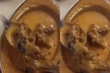 பிரபல ஹோட்டலில் மாட்டிறைச்சி கறியில் இறந்து கிடந்த எலி - நுகர்வோர் அதிர்ச்சி
