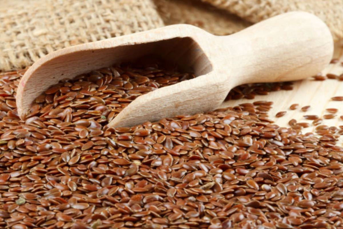 ஆளி விதைக்குள் இவ்வளவு நன்மைகளா? | Do Flaxseeds Have So Many Benefits ஆளி விதைக்குள் இவ்வளவு நன்மைகளா? | Do Flaxseeds Have So Many Benefits