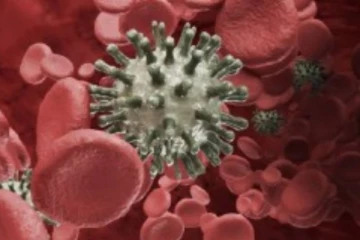 ரத்த புற்றுநோய்க்கு மருந்தாகும் கருவேலம் கஷாயம்