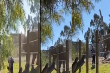 பின்னால் தாக்க ஓடி வந்த யானை - கைக்குழந்தையுடன் ஒரு நொடி உயிர் தப்பிய நபர் - அதிர்ச்சி வீடியோ!