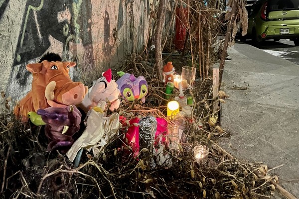 கனடாவில் உக்ரைன் ஏதிலிச் சிறுமிக்கு நேர்ந்த அவலம் | Girl 7 Killed In Montreal Hit And Run