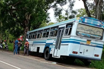 மரத்தில் மோதியது பேருந்து : மாணவர்கள் உட்பட 15 பேர் காயம்