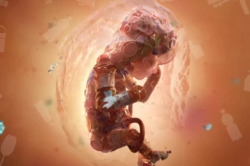 මයික්‍රෝ ප්ලාස්ටික් දරු ගැබට රිංගන ආකාරය ගැන අනාවරණයක්.