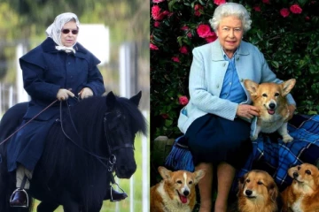 ராணியின் வருகைக்காக சோகத்துடன் காத்திருந்த செல்லப்பிராணிகள்!