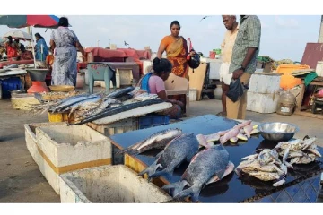 மெரினாவில் இந்த பகுதியில் மீன் விற்க தடை.. அதிர்ச்சியில் மக்கள் - காரணம் என்ன?