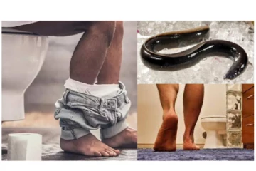 விலாங்கு மீனை எடுத்து ஆசனவாயில் நுழைத்த நபர் - அடுத்து நடந்தது என்ன? அதிர்ச்சி சம்பவம்