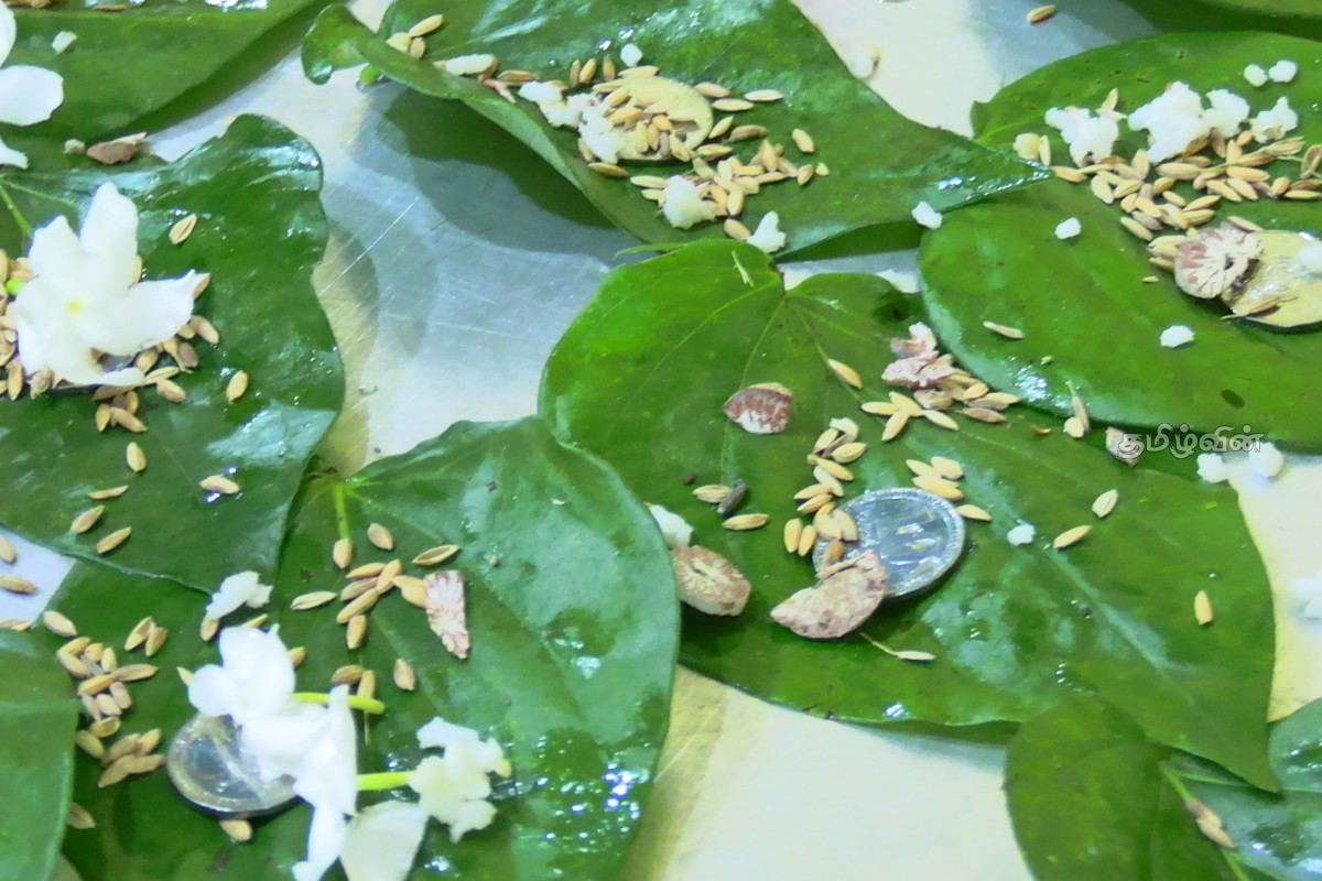 நாடளாவிய ரீதியில் சித்திரை புத்தாண்டு கொண்டாட்டம் | Chithirai New Year Celebrations Islandwide நாடளாவிய ரீதியில் சித்திரை புத்தாண்டு கொண்டாட்டம் | Chithirai New Year Celebrations Islandwide