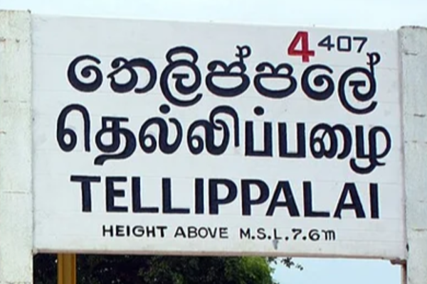 தெல்லிப்பழை பொலிஸில் அர்ச்சுனா முன்வைத்த முறைப்பாடு.. விசாரணையில் வெளியான தகவல் | Archuna Mp Filed Complaint Tellippalai Police