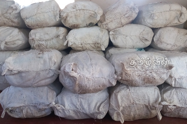 சட்டவிரோதமாக பீடி இலைகளை கடத்த முற்பட்ட மூவர் கைது (Photos) | Arrested For Trying To Smuggle Beedi Leaves