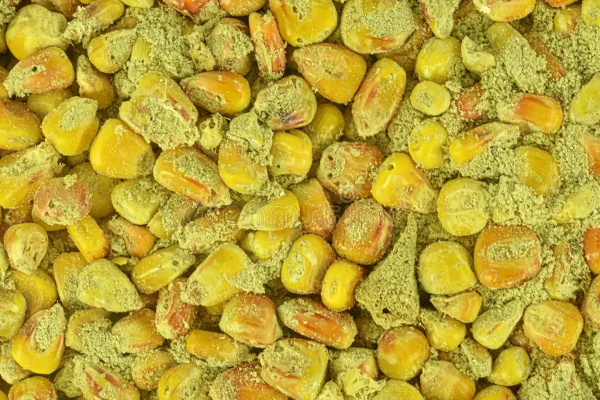 புற்று நோய்க்கு வழிவகுக்கும் பூஞ்சை மசாலாப் பொருட்கள்! | Fungal Spices Cause Cancer