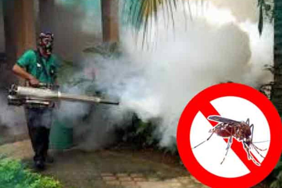 நிலைமை மோசமடையலாம்! விடுக்கப்பட்டுள்ள அவசர எச்சரிக்கை | Dengu Fever Urgent Warrning Srilanka People