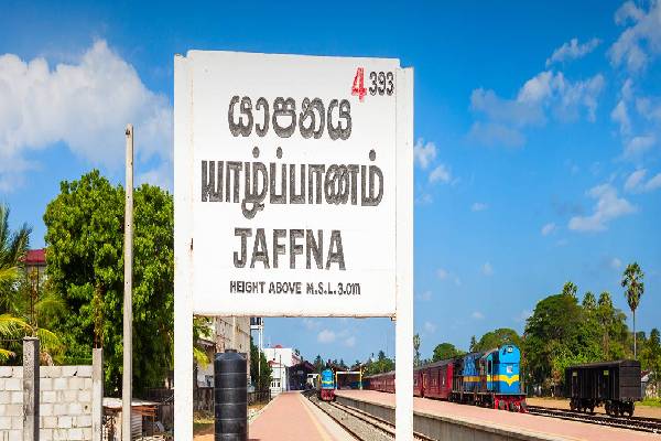 யாழில் தொலைபேசிகளை திருடிய மூவர் கைது | Three Arrested For Stealing Phones In Jaffna