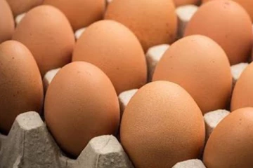 බිත්තර ගැන අලුත් තොරතුරක්..