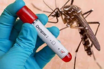 டெங்கு நோயாளர்கள் தொடர்பில் விடுக்கப்பட்டுள்ள எச்சரிக்கை