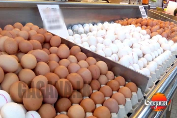 බිත්තර මිල යළි පහළට නව මිල මෙන්න