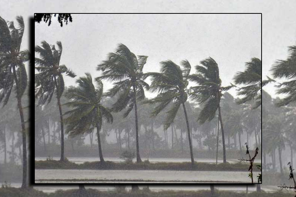 வலுவடையும் காற்றழுத்த தாழ்வு! தொடரும் சிவப்பு எச்சரிக்கை | A Red Weather Warning Has Been Issued வலுவடையும் காற்றழுத்த தாழ்வு! தொடரும் சிவப்பு எச்சரிக்கை | A Red Weather Warning Has Been Issued