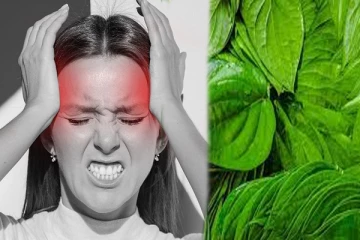 10 நிமிடத்தில் எப்பேர்பட்ட தலைவலியும் பறந்துப்போகும்