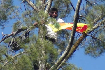 கோட்டாவே  வீடு செல்;  100  அடி மரத்தில் ஏறிய நபரால் பரபரப்பு!