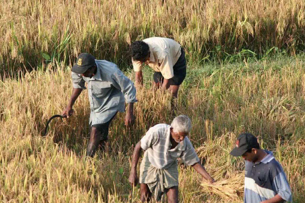 வளமான நாடும் அழகான வாழ்க்கையும் வெறும் ஏமாற்றுத் தேர்தல் வாக்குறுதிகளே - அரசாங்கத்தை சாடிய சஜித் | Sajith Govt S Promises Are Election Deception