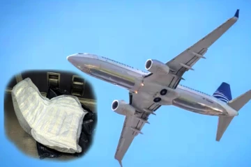 ஒரு டயப்பரால் அவசரமாக தரையிறக்கப்பட்ட விமானம்! அமெரிக்காவில் நடந்த வேடிக்கை சம்பவம்