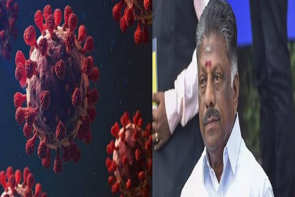 கொரோனா அதிகமாகுது சீக்கிரம் நடவடிக்கை வேண்டும்  :  தமிழக அரசுக்கு ஓ.பி.எஸ் வலியுறுத்தல் - தமிழ்நாடு