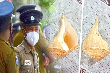 ஒருகோடி ரூபா பெறுமதியான வலம்புரி சங்குடன் சிக்கிய பௌத்த தேரர் உட்பட இருவர் கைது