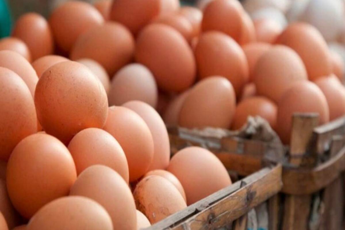 எரிபொருள் தட்டுப்பாட்டை தொடர்ந்து முட்டை விலை அதிகரிப்பு | Egg Prices Increase Following Fuel Shortage எரிபொருள் தட்டுப்பாட்டை தொடர்ந்து முட்டை விலை அதிகரிப்பு | Egg Prices Increase Following Fuel Shortage