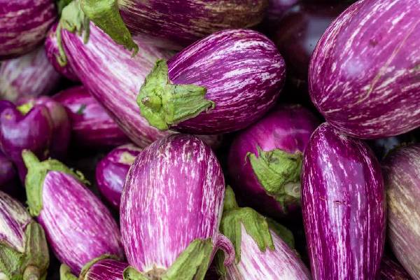 பார்த்தாலே பசி எடுக்கும் எண்ணெய் கத்ரிக்காய் குழம்பு! | Ennai Kathirikai Kulambu Recipe