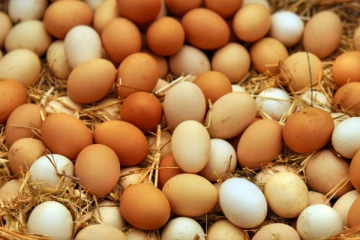 முட்டை விலை தொடர்பில் வெளியான தகவல்