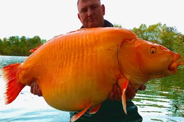 பிரித்தானிய மீனவருக்கு கிடைத்த பேரதிஷ்டம்!