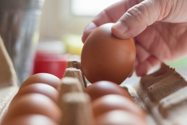 முட்டை இறக்குமதி தொடர்பில் வெளியான முக்கிய அறிவிப்பு! | Important Announcement Regarding Egg Import
