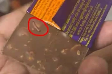 Dairy milk சாக்லெட் பிரியரா நீங்கள்? இந்த அருவருக்க வைக்கும் காட்சியை பாருங்க