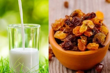 தினமும் பாலுடன் உலர் திராட்சையை சேர்த்து சாப்பிடுங்க... உடலில் பல நன்மைகள் ஏற்படும்!