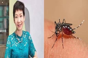 டெங்குவை ஒழிக்க  புதிய கொசுக்கள் : பக்கா பிளான் போடும் சிங்கப்பூர்