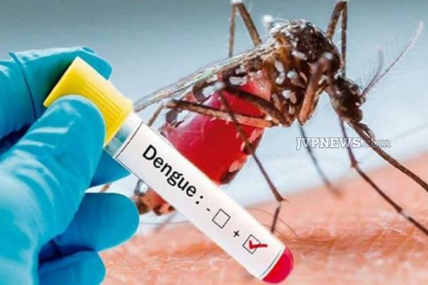 யாழில் பரிதாபமாக உயிரிழந்த 5 பிள்ளைகளின் தாய்! | Jaffna Elderly Woman Died Of Dengue Fever
