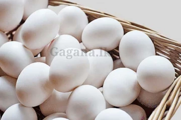 බිත්තර මිල ගැන ඇහෙන තවත් ආරංචියක් මෙන්න..