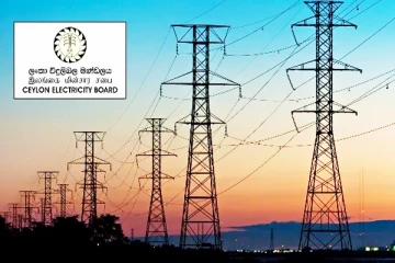 இலங்கை மின்சார சபை விடுத்துள்ள கோரிக்கை