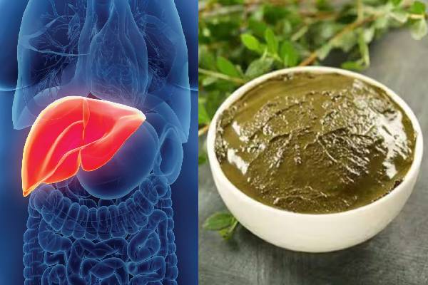 கையில் மருதாணி தடவினால் கல்லீரல் புண்கள் குணமாகுமா? ஆய்வாளர் கண்டுபிடிப்பு | Henna Can Reverse Liver Damage Scientists Reveal கையில் மருதாணி தடவினால் கல்லீரல் புண்கள் குணமாகுமா? ஆய்வாளர் கண்டுபிடிப்பு | Henna Can Reverse Liver Damage Scientists Reveal