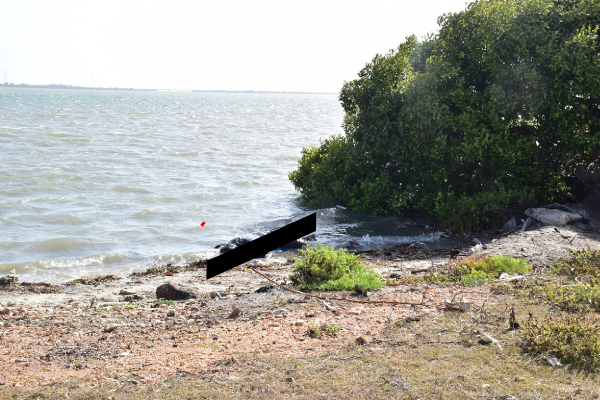 மன்னாரில் கரையொதுங்கிய ஆணொருவரின் சடலம் - விசாரணை தீவிரம் | Dead Body Washed Ashore Is Mannar