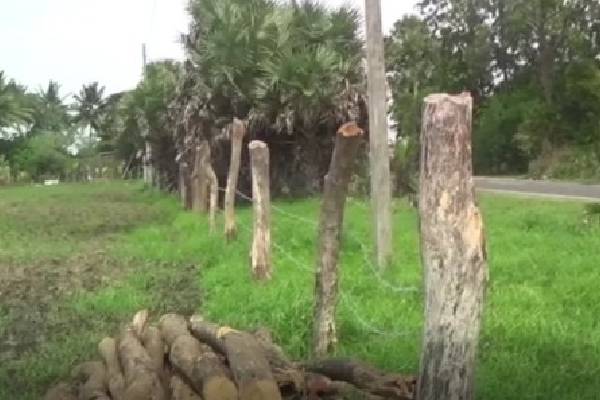 எழுவைதீவில் தனியார் காணிகள் கடற்படையினருக்கு சுவீகரிப்பு! | Lands In Eluvaitivu Acquisition For The Navy