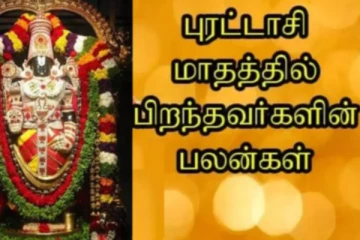 புரட்டாசி மாதம் பிறந்தவரா நீங்கள்? இந்த விஷயங்களில் உங்களை யாரும் நெருங்க முடியாது