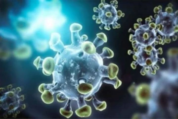 ஆயிரம் மடங்கு ஆபத்தான டெல்டா வைரஸ்: சுகாதார ஆணையம் எச்சரிக்கை