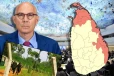 வடக்கு, கிழக்கில் இராணுவத்தினர் வசமுள்ள காணி விடுவிப்பு : ஐ.நா மனித உரிமைகள் அலுவலகம் வலியுறுத்தல்