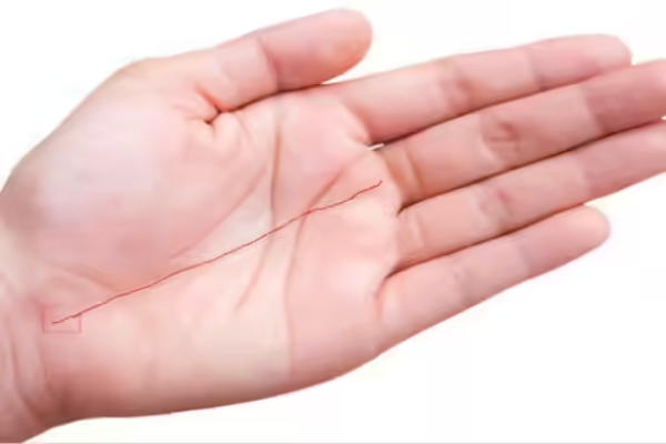 அதிர்ஷ்டசாலிகளின் கைகளில் இந்த ரேகைகள் இருக்கும் - உங்கள் கைகளில் இருக்கா? | Lucky Palm Lines Know Palmistry Signs Of Money அதிர்ஷ்டசாலிகளின் கைகளில் இந்த ரேகைகள் இருக்கும் - உங்கள் கைகளில் இருக்கா? | Lucky Palm Lines Know Palmistry Signs Of Money